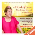 Video-1033 A Donkey Lesson: Use Every Second to Meditate